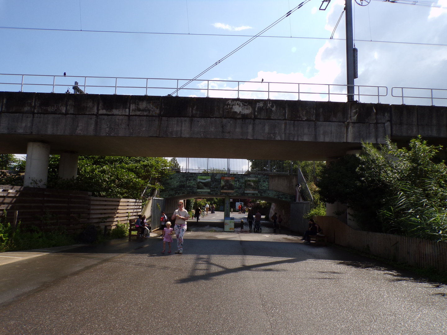 View of train tracks going over zoo 13.7.23