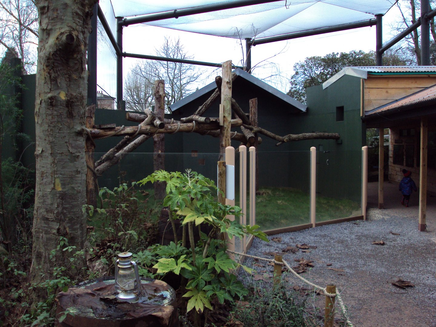 View of Tree Kangaroo exhibit 27/12/2018