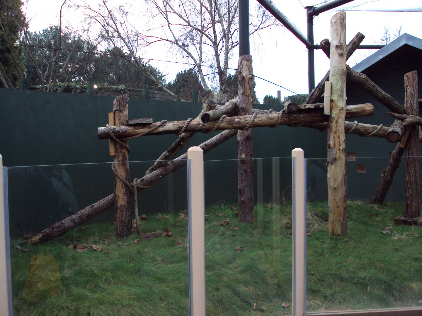 View of Tree Kangaroo exhibit 27/12/2018