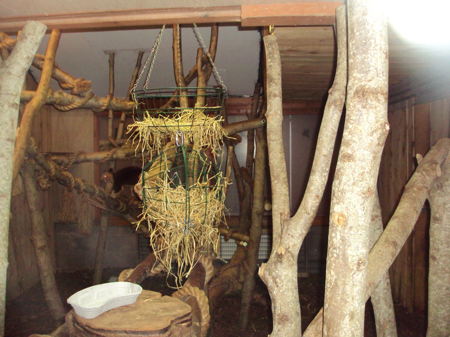 View of Tree Kangaroo exhibit 27/12/2018