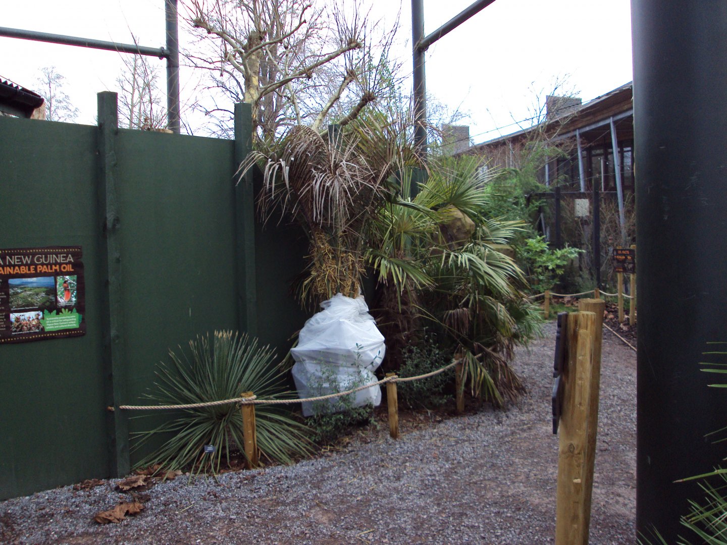 View of Tree Kangaroo exhibit 27/12/2018