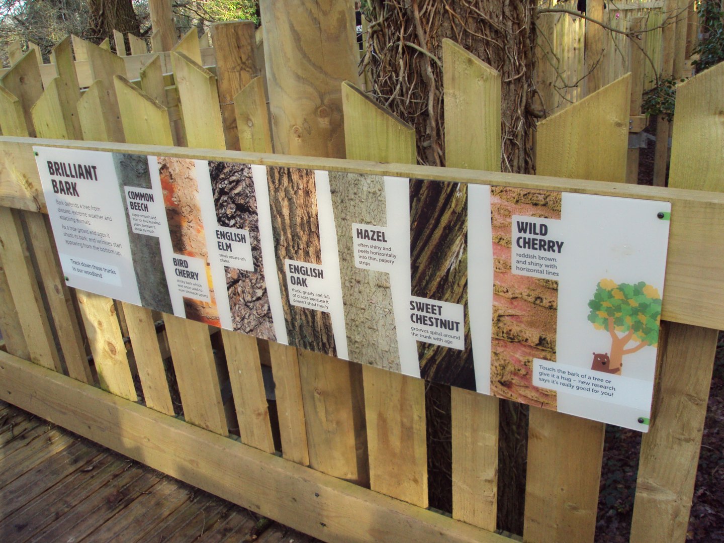 View of tree signage 03/01/2020