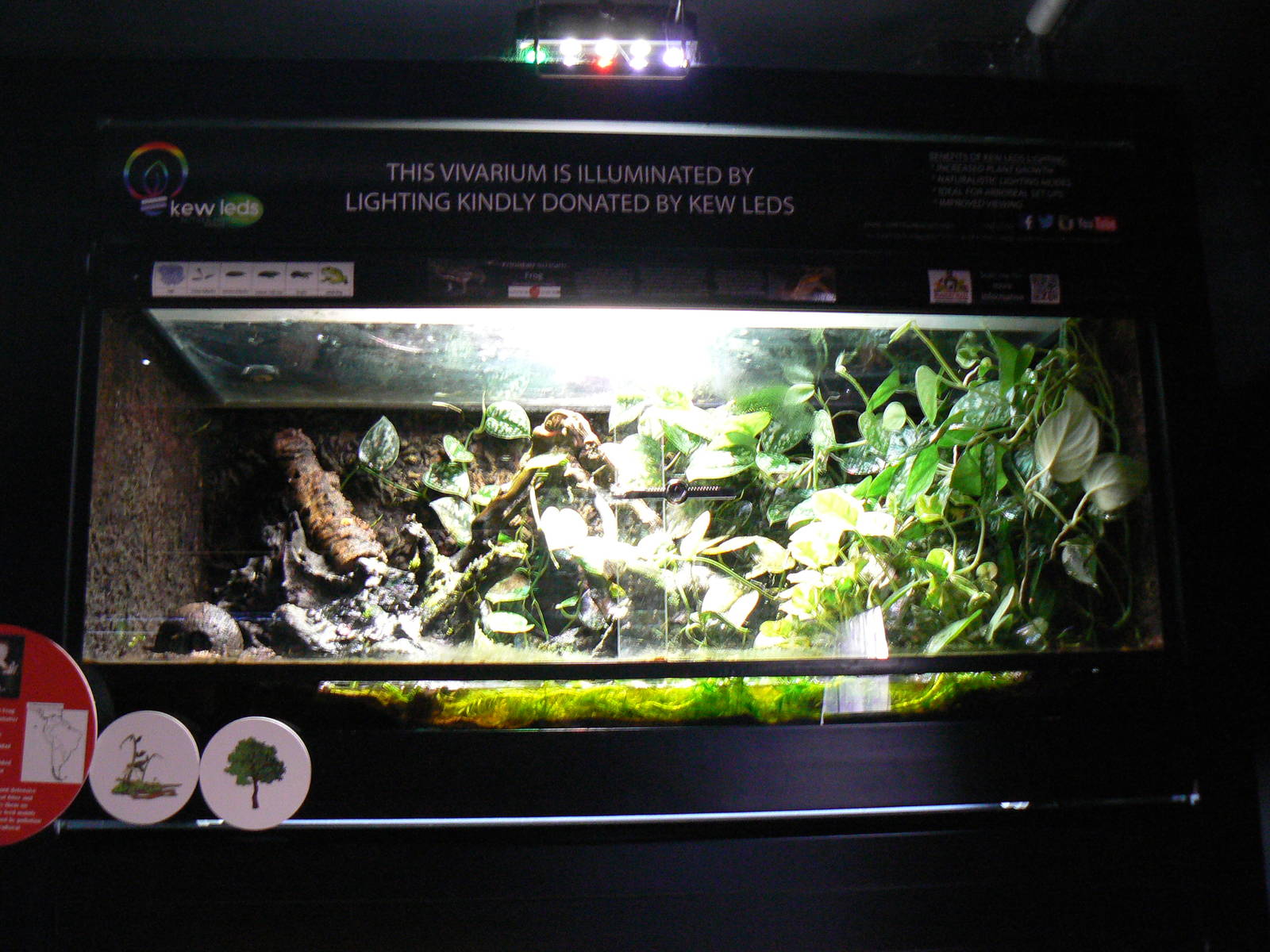 View of Trinidad Stream Frog Enclosure - 6 August 2016, Kirkley Hall Zoolog