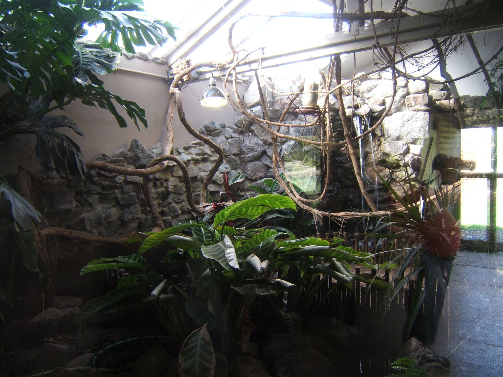 View of Tropical Finch Aviary
