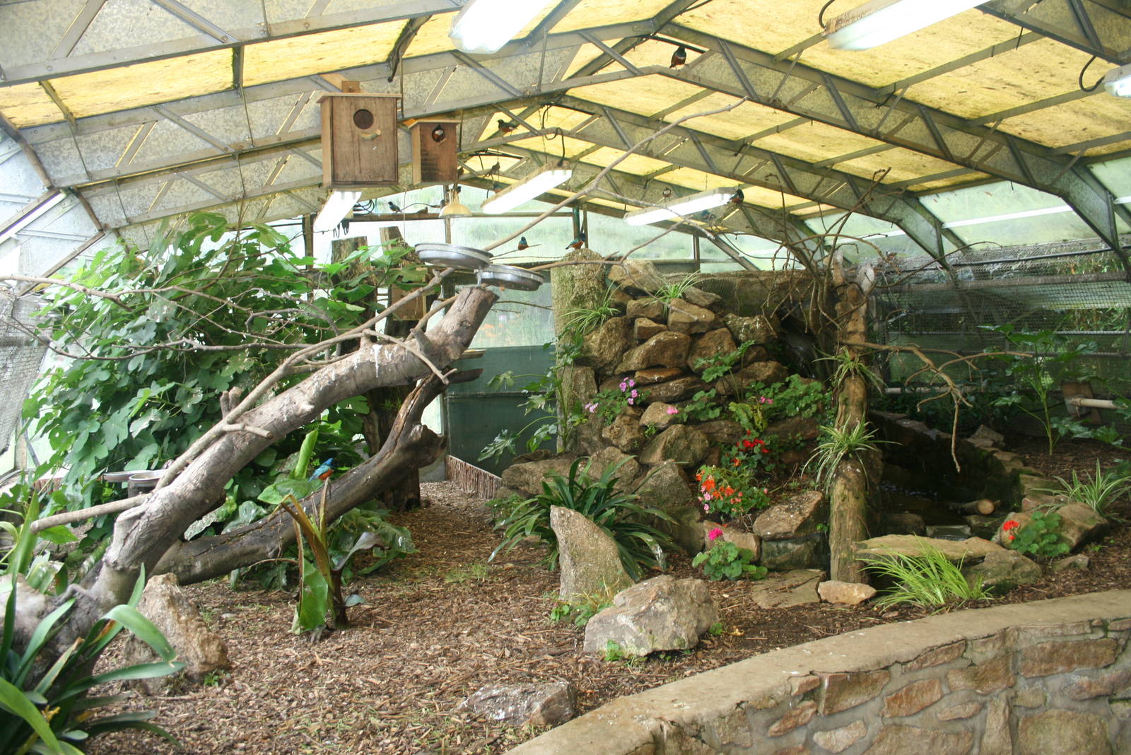 View Of Tropical House 2