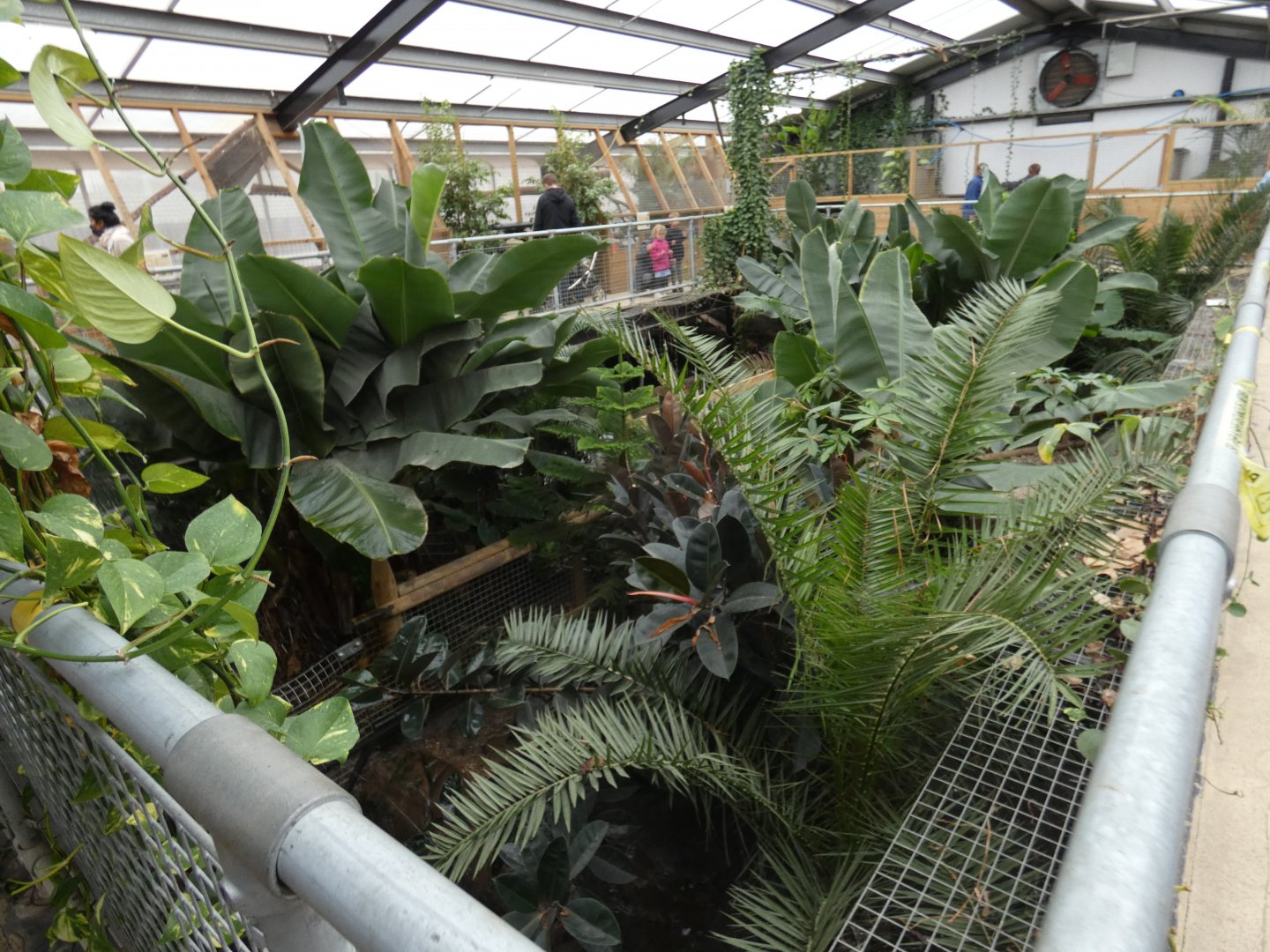 View of Tropical House (2)