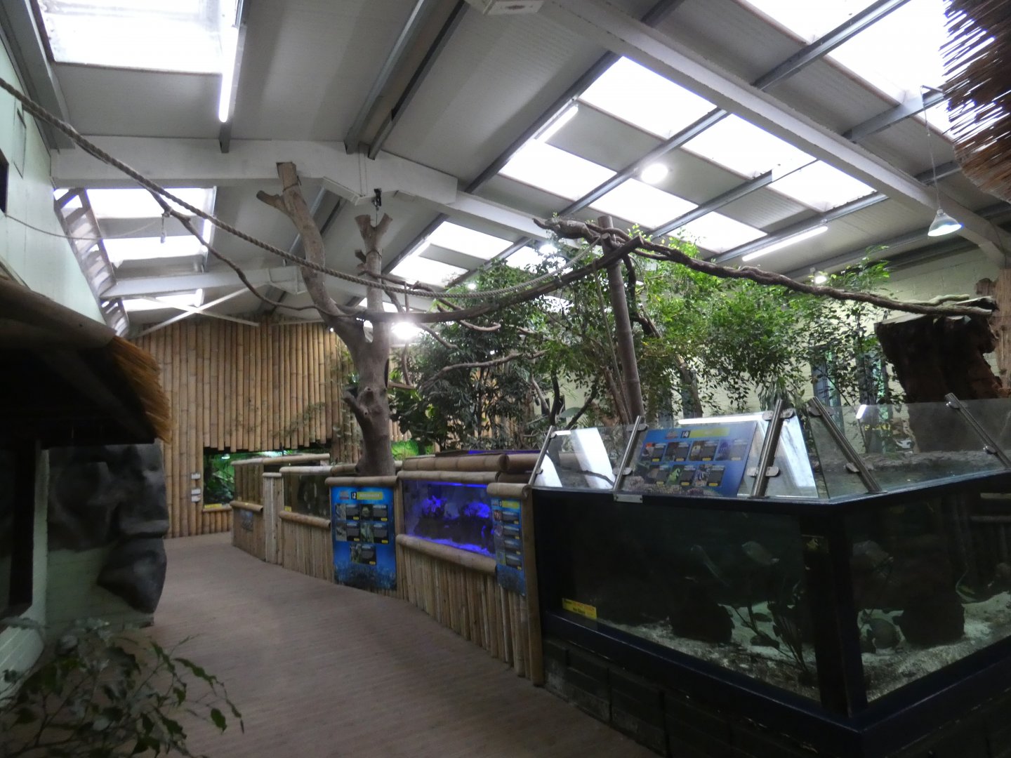 View of Tropical house (2)