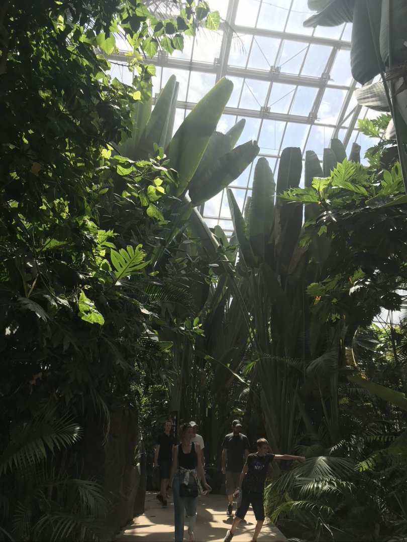 View of tropical house (2019)