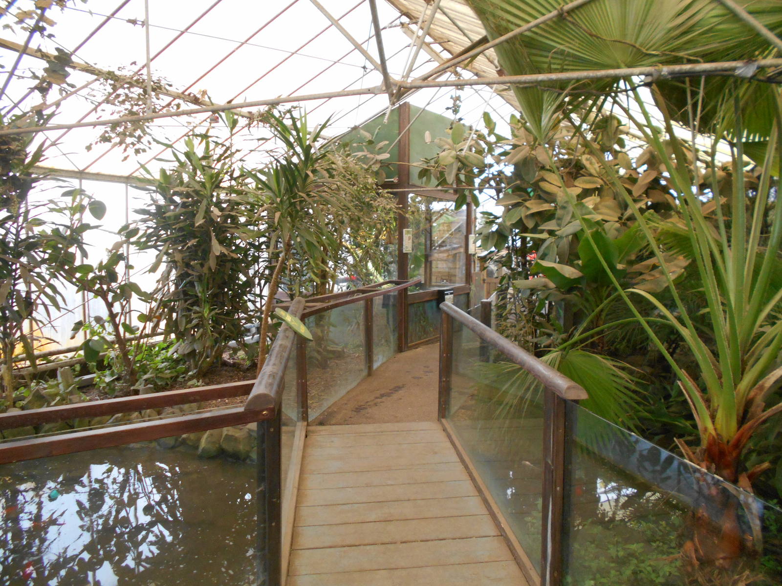 View of Tropical House - March 15th 2016