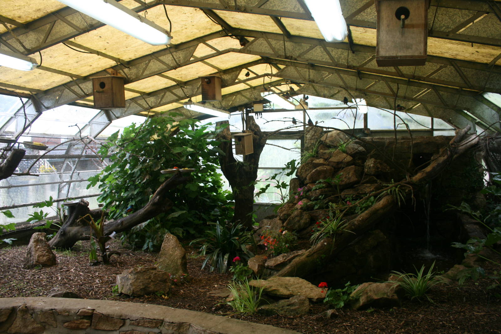 View Of Tropical House