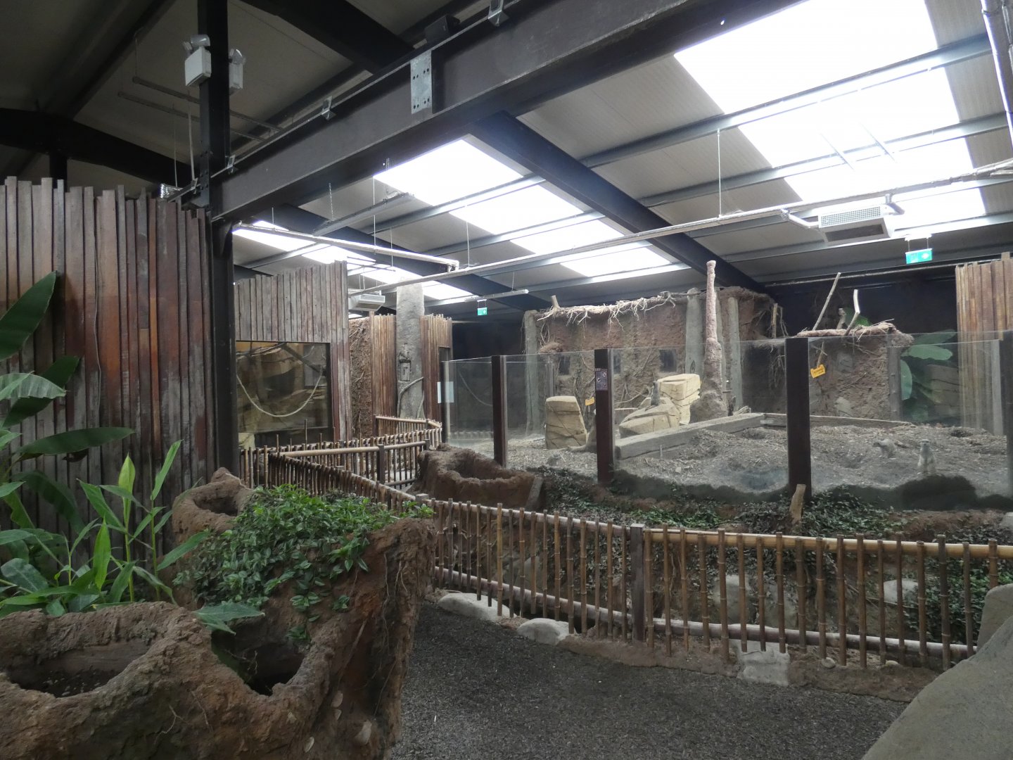 View of Tropical house