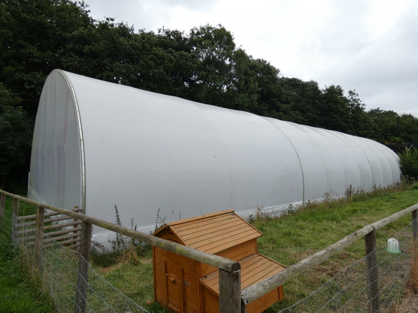 View of tropical house