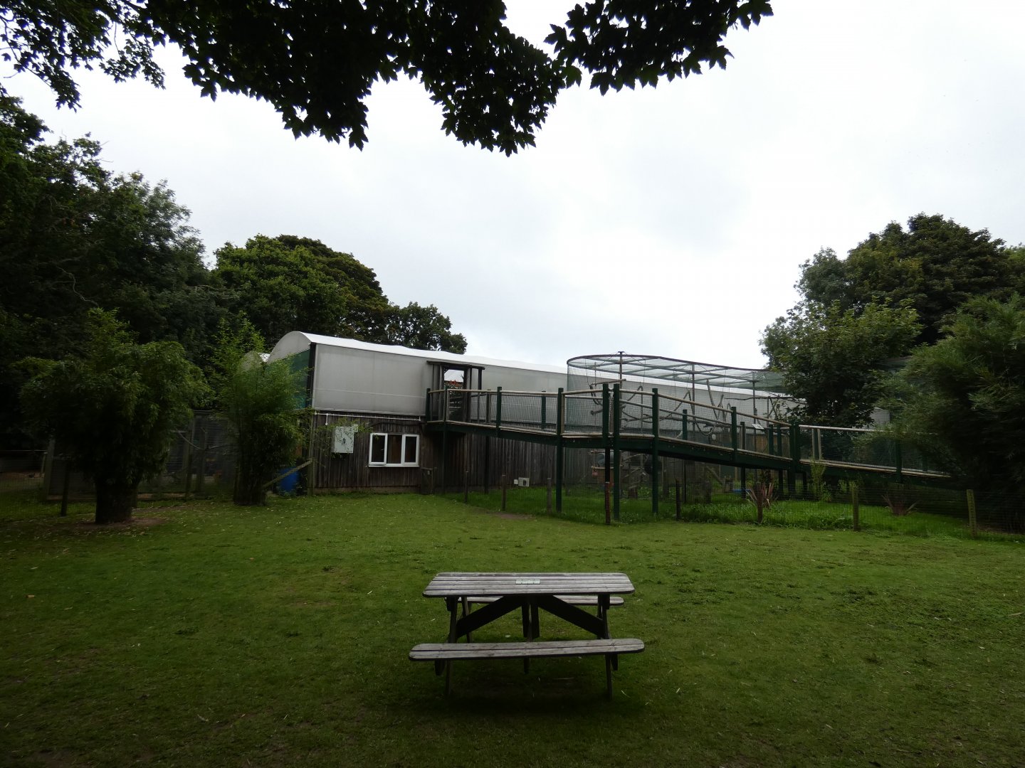 View of Tropical house