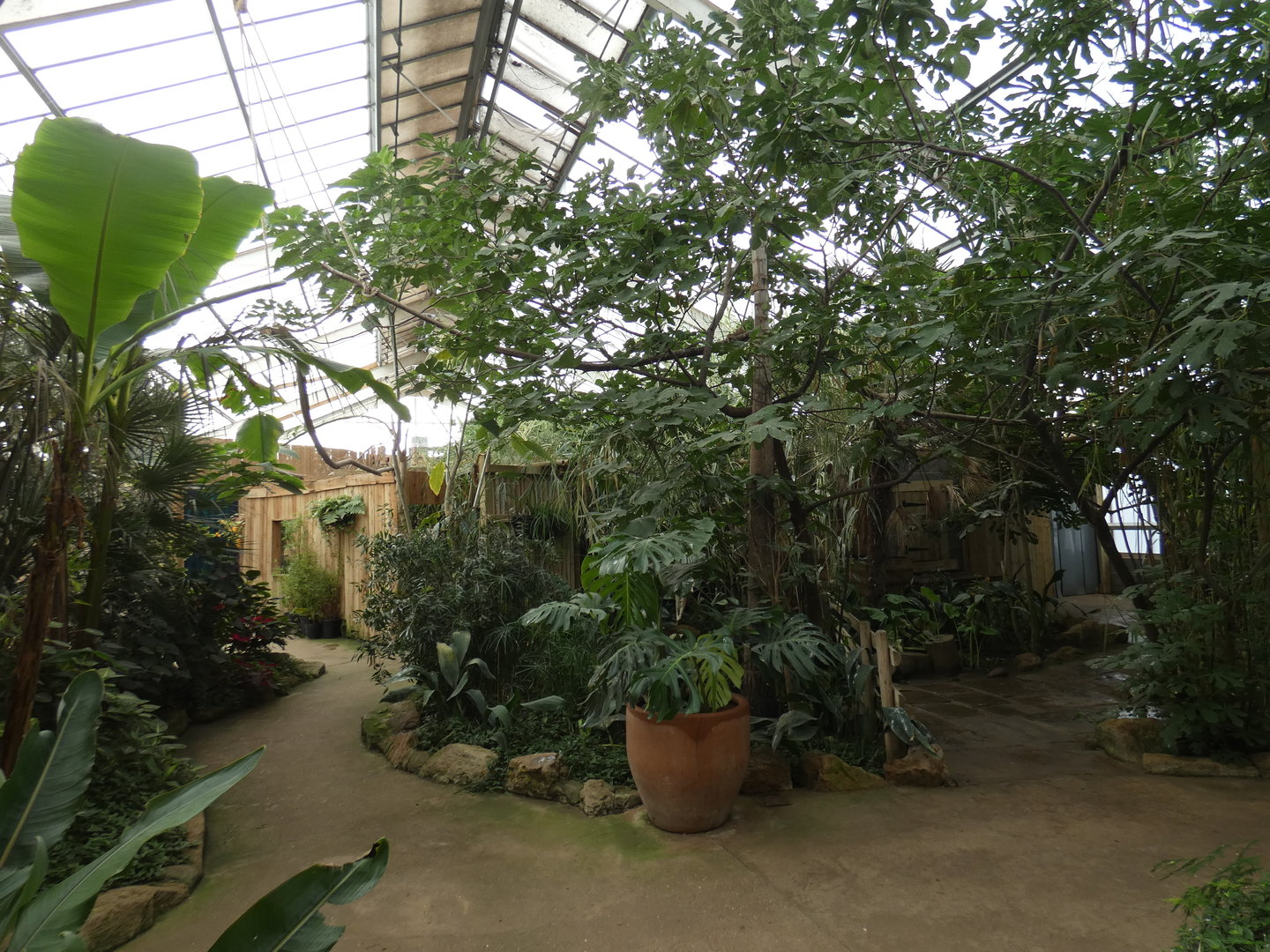 View of tropical house