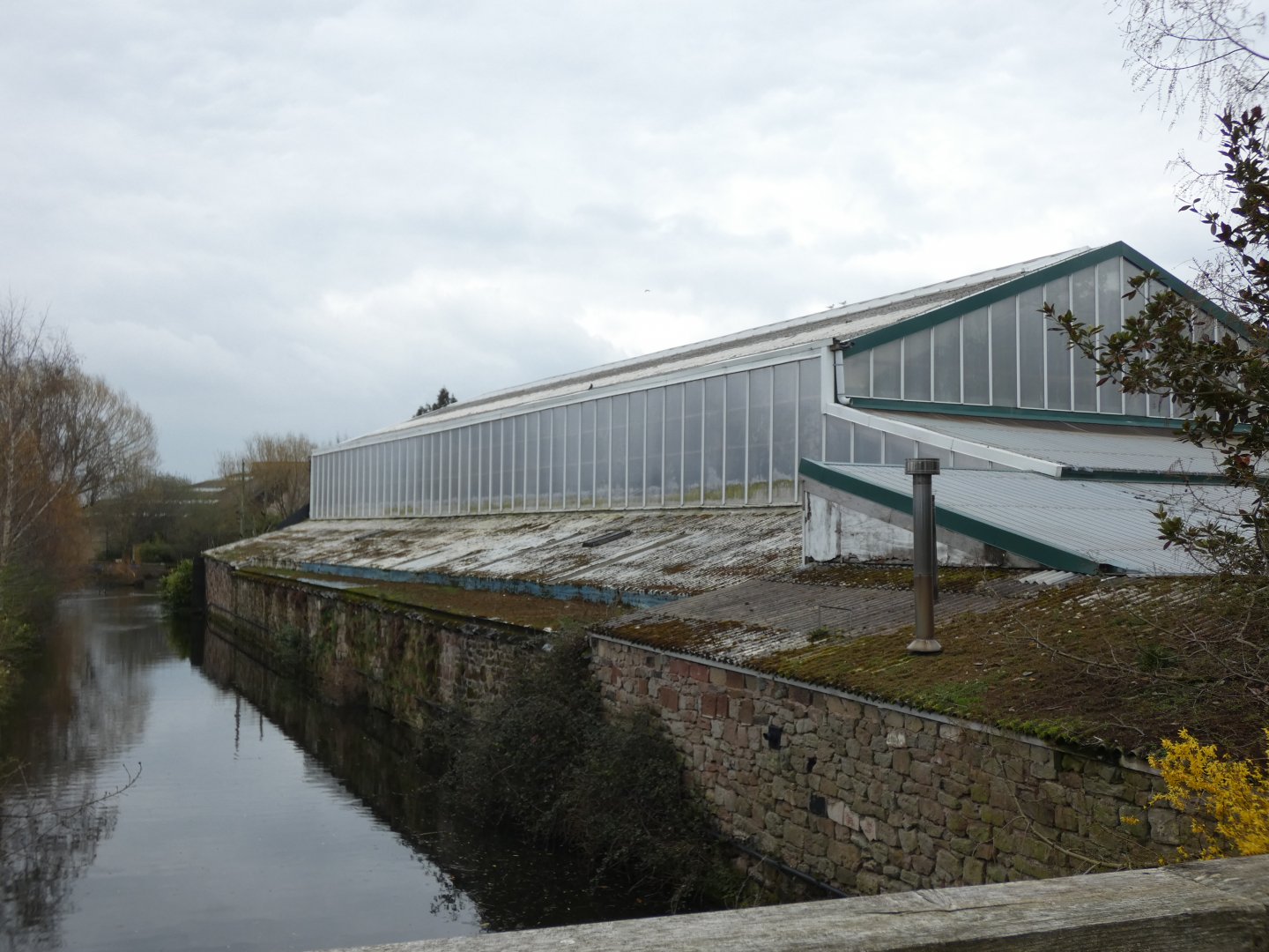 View of Tropical Realm