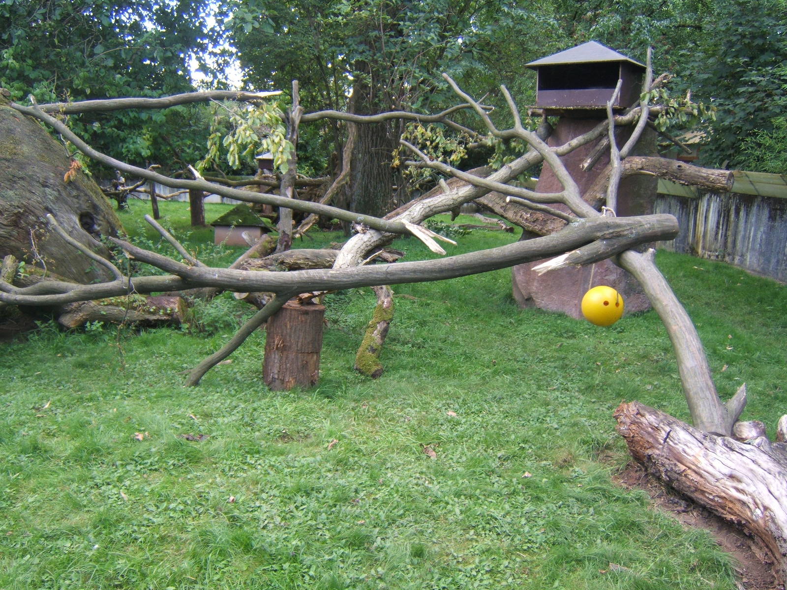 View of Tufted Deer and Red Panda enclosure