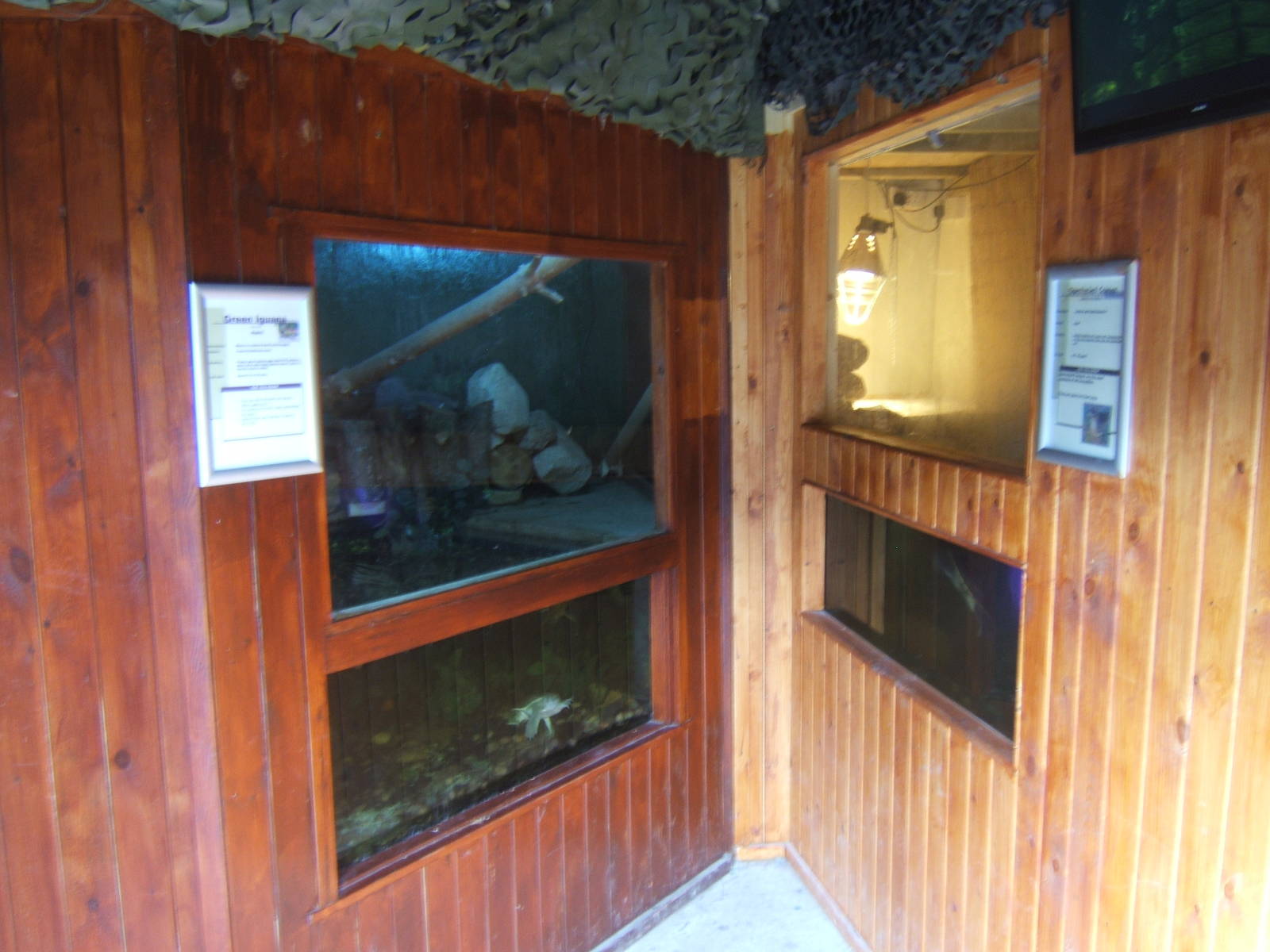 View of Turtle and caiman exhibits