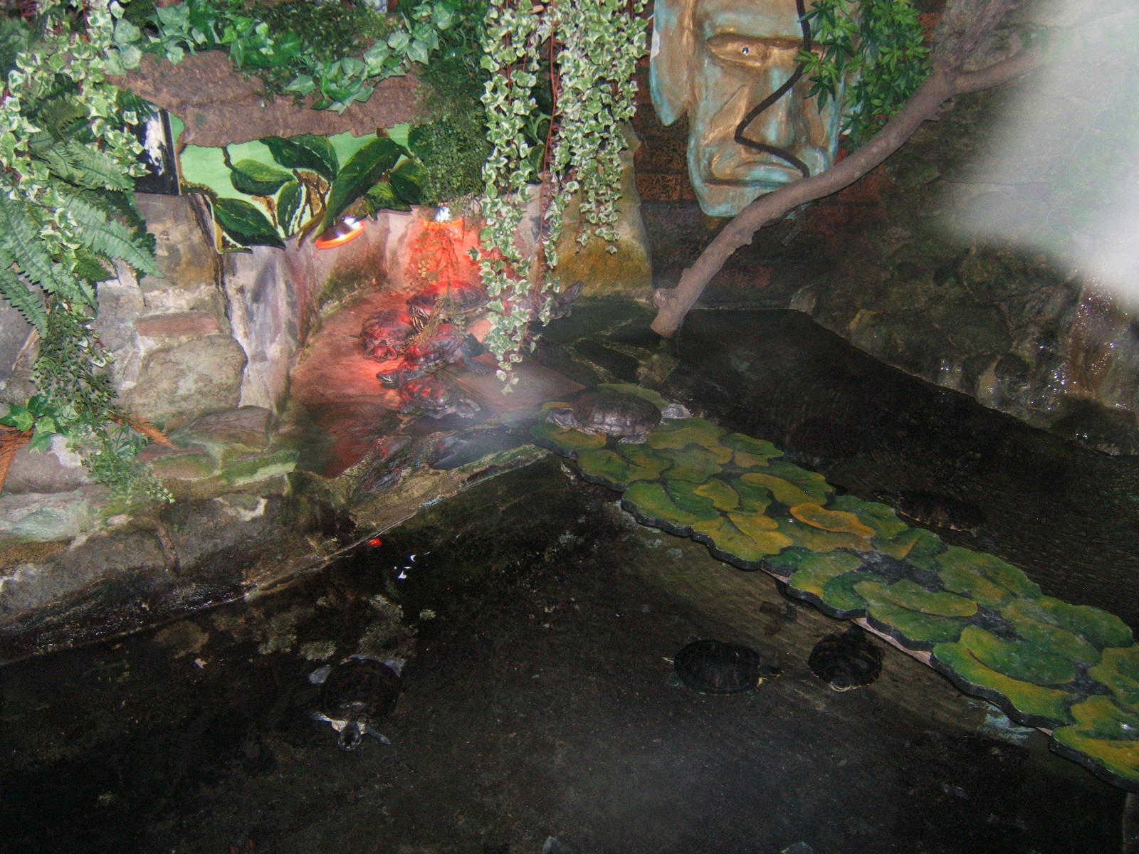 View of turtle exhibit