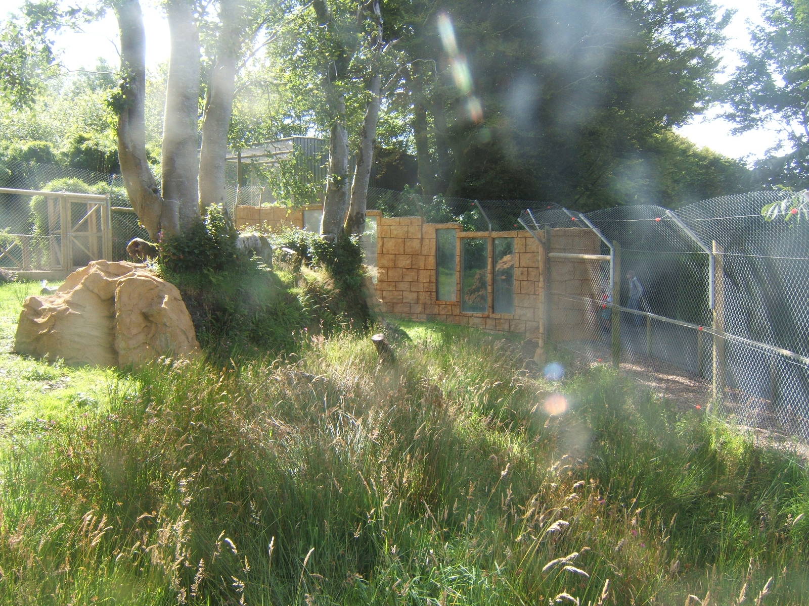 View of under construction European Wolf enclosure