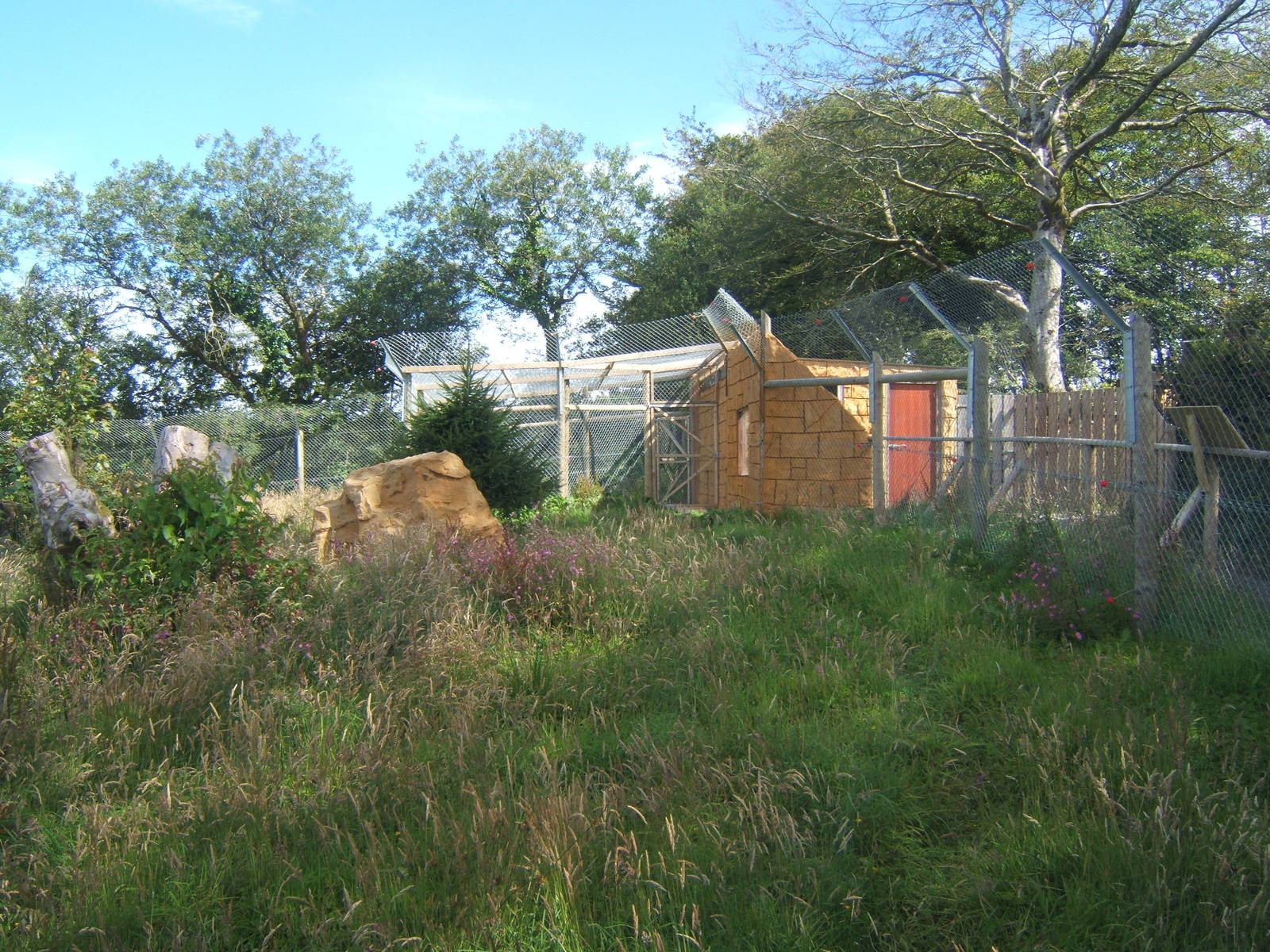 View of under construction European Wolf enclosure