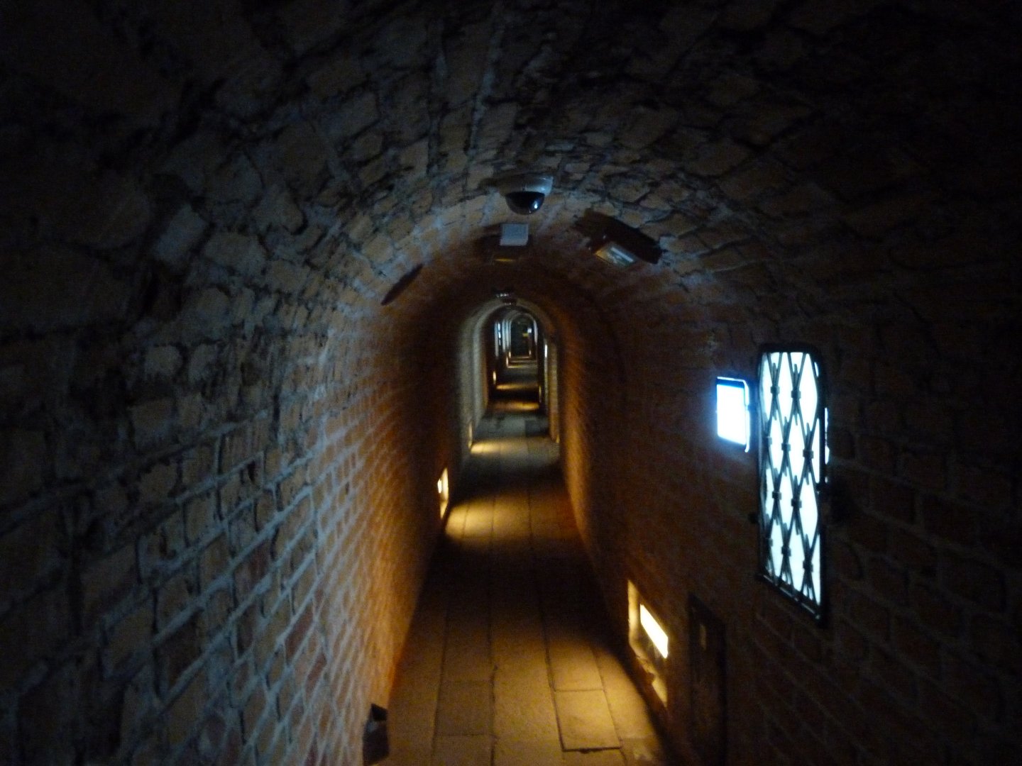 View of "Underground world" -Zoo Plzeň (2025)