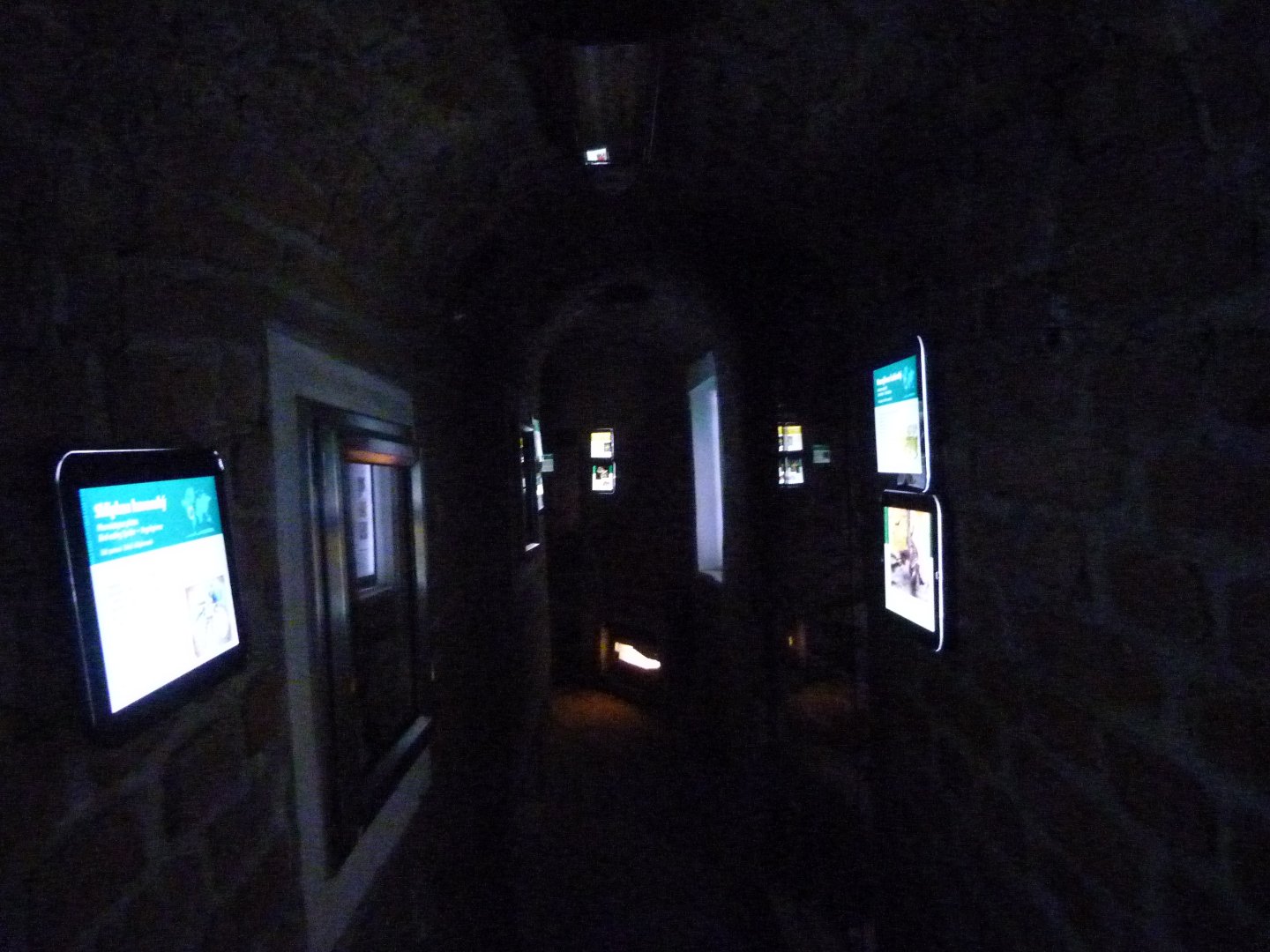 View of "Underground world" -Zoo Plzeň (2025)