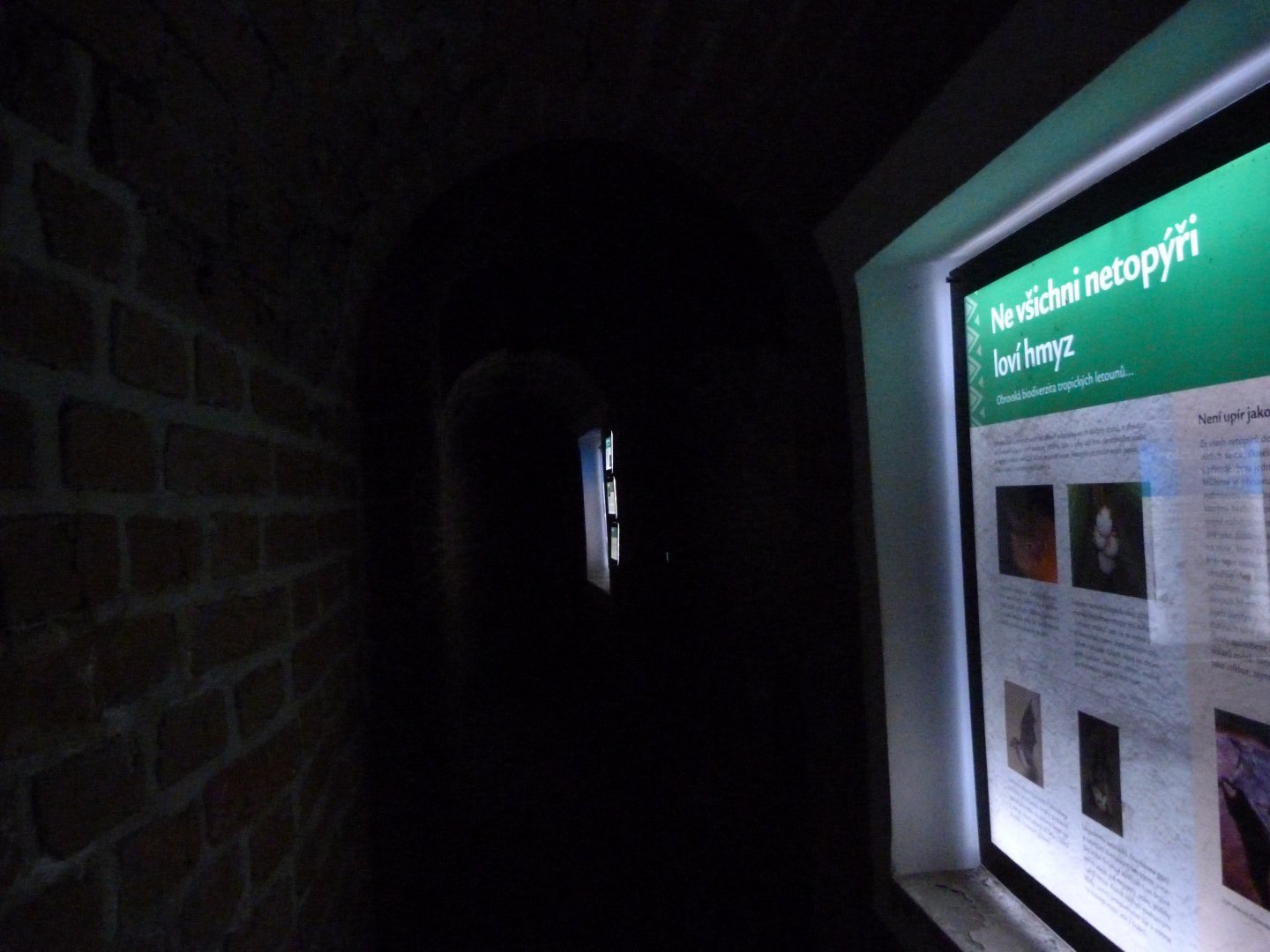 View of "Underground world" -Zoo Plzeň (2025)