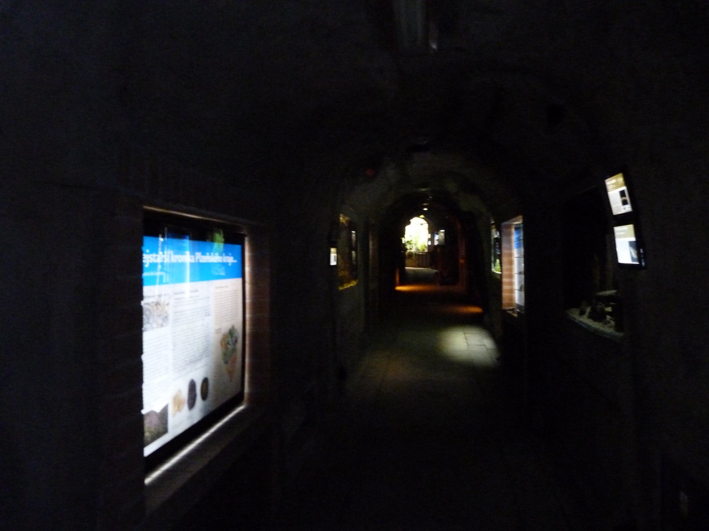 View of "Underground world" -Zoo Plzeň (2025)