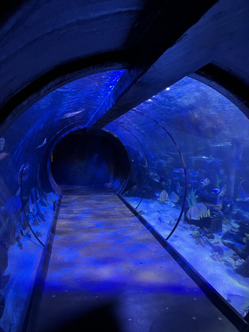 View of underwater tunnel 8.7.24