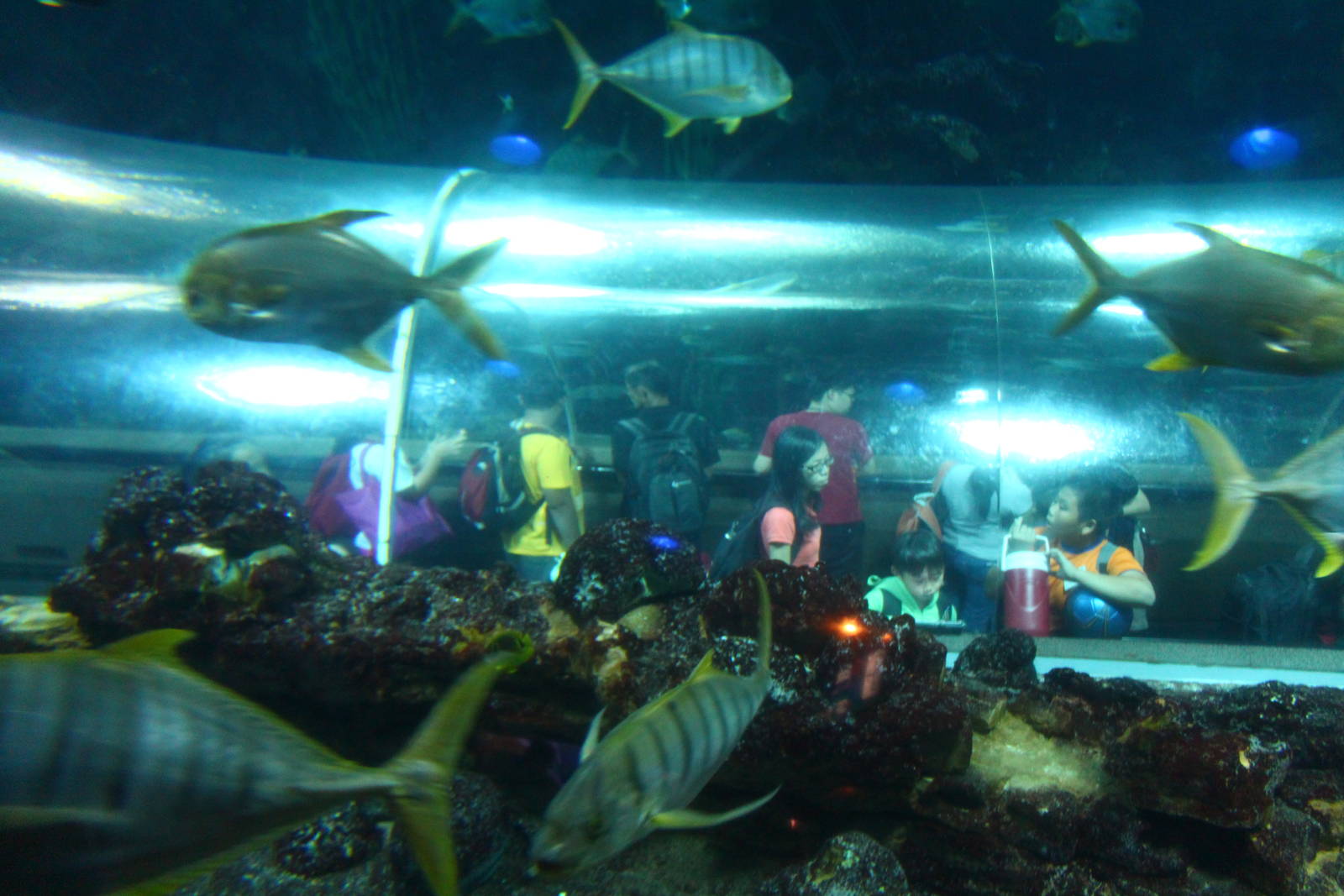 View of Underwater Tunnel