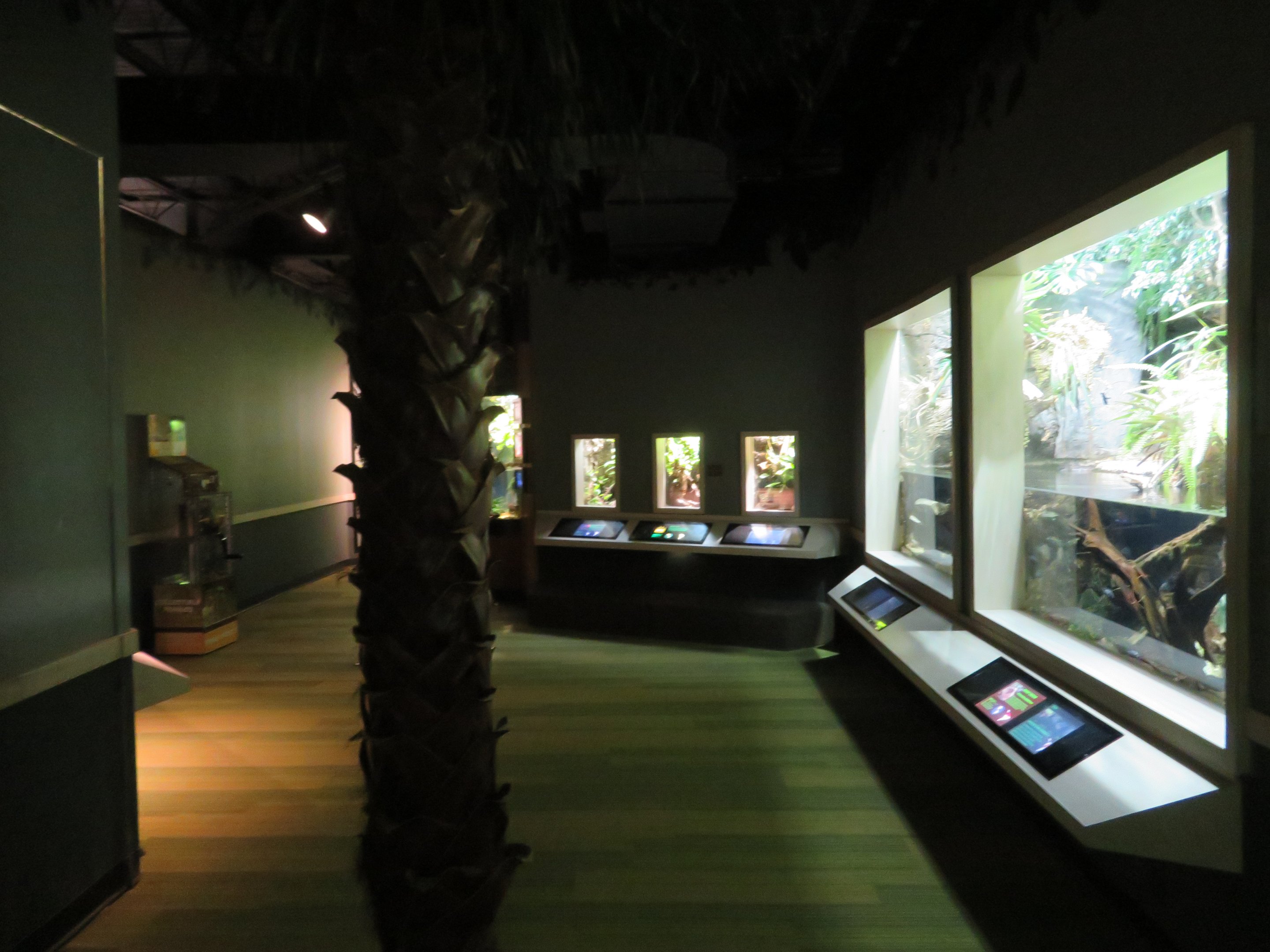 View of Unseen New World