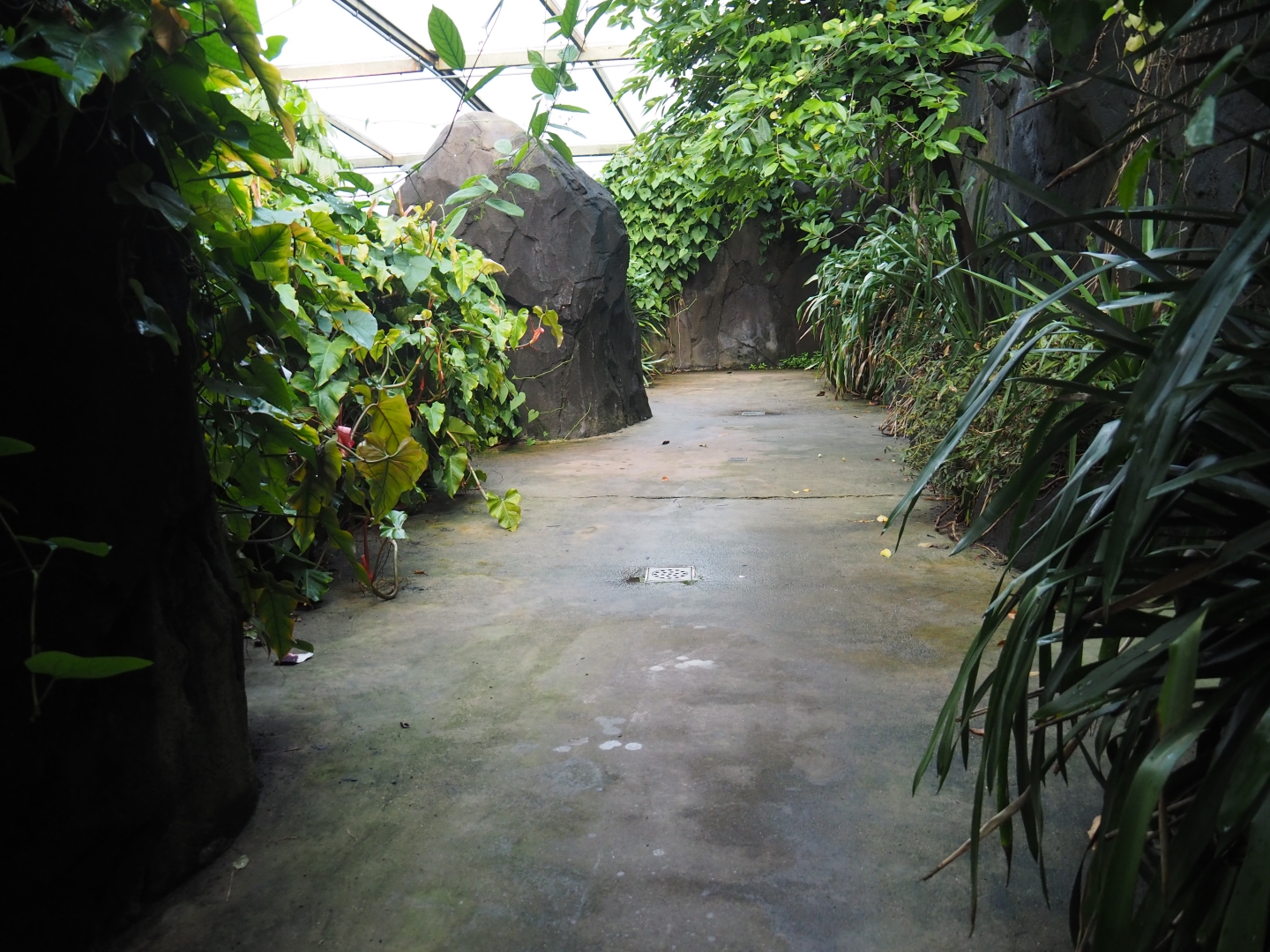 View of upper area in the Bush (Sep 16th, 2018)