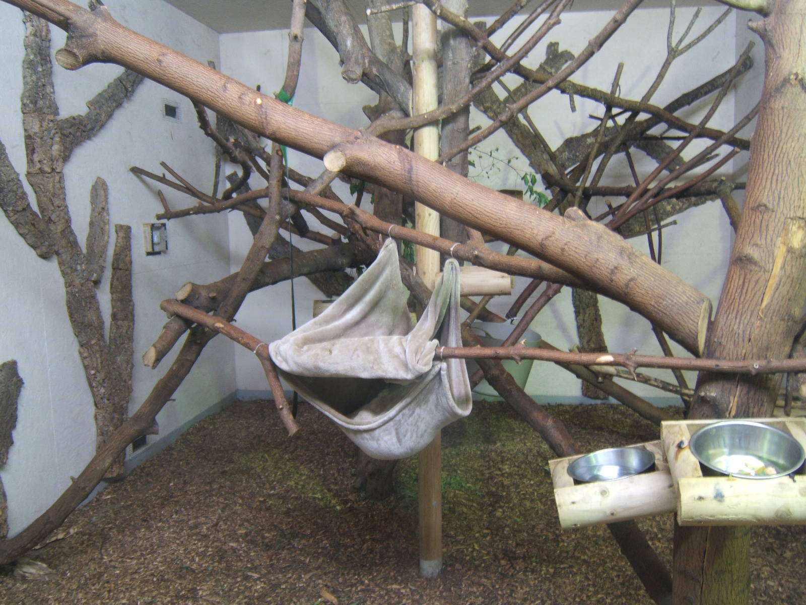 View of upper area of the Chimp House