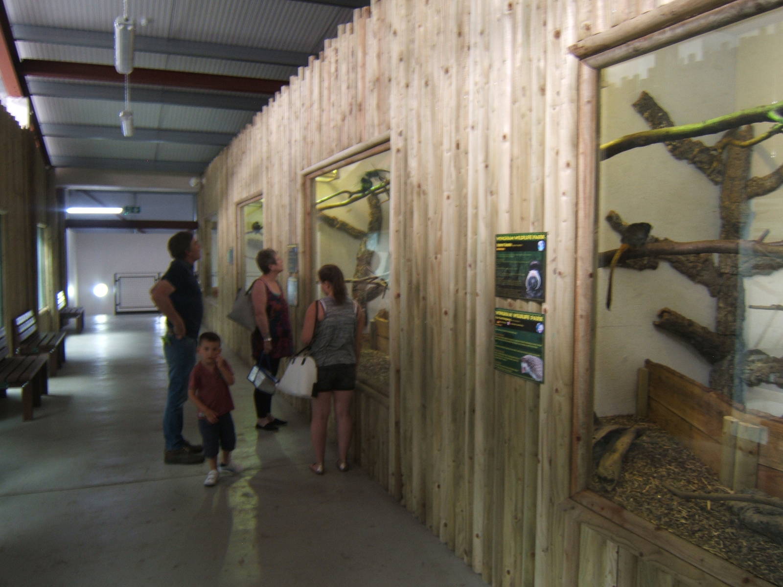 View of upper area of the Chimp House