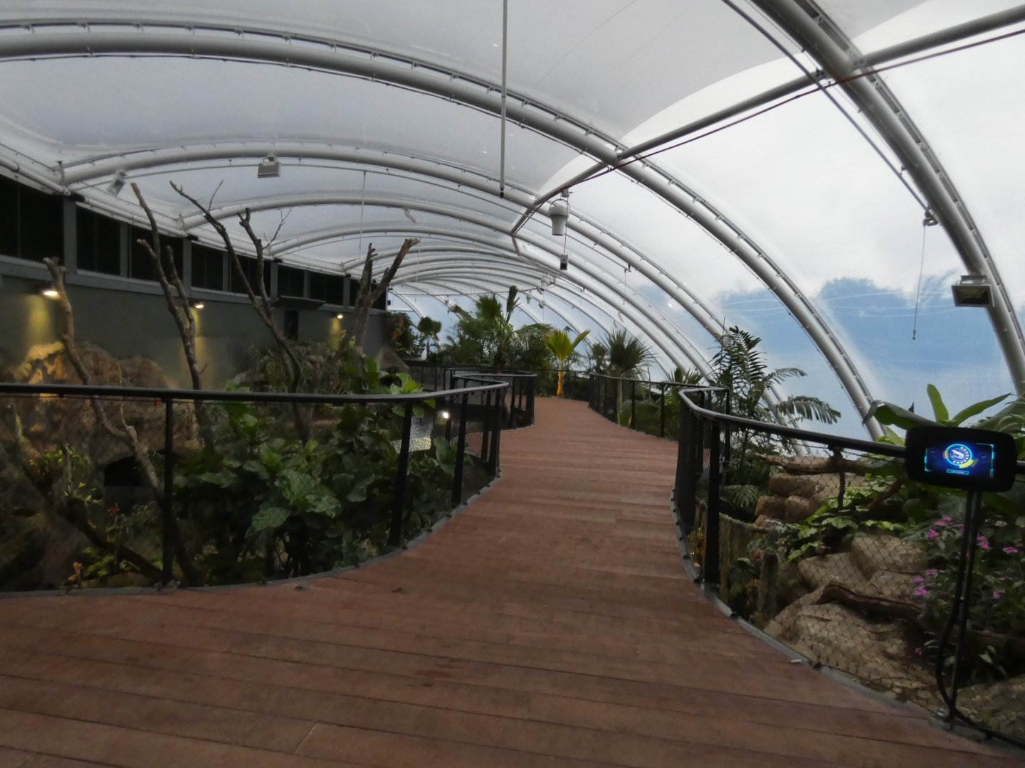 View of Upper viewing in new Tropical House