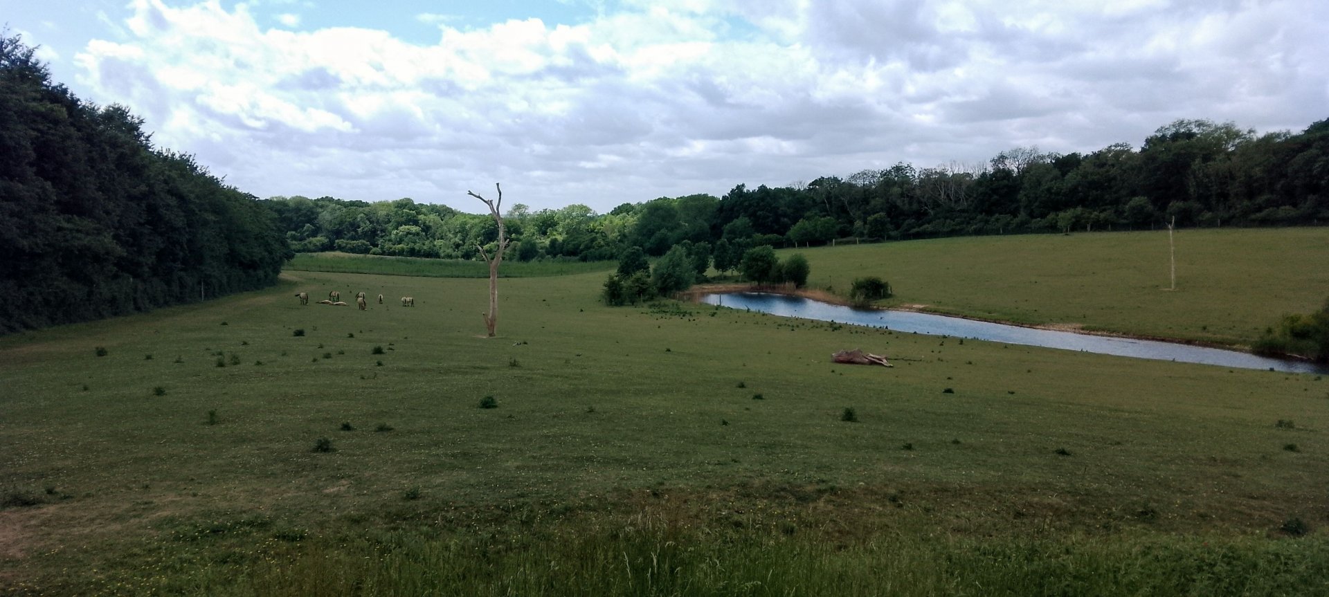 View of Valley from Café Graze 010625
