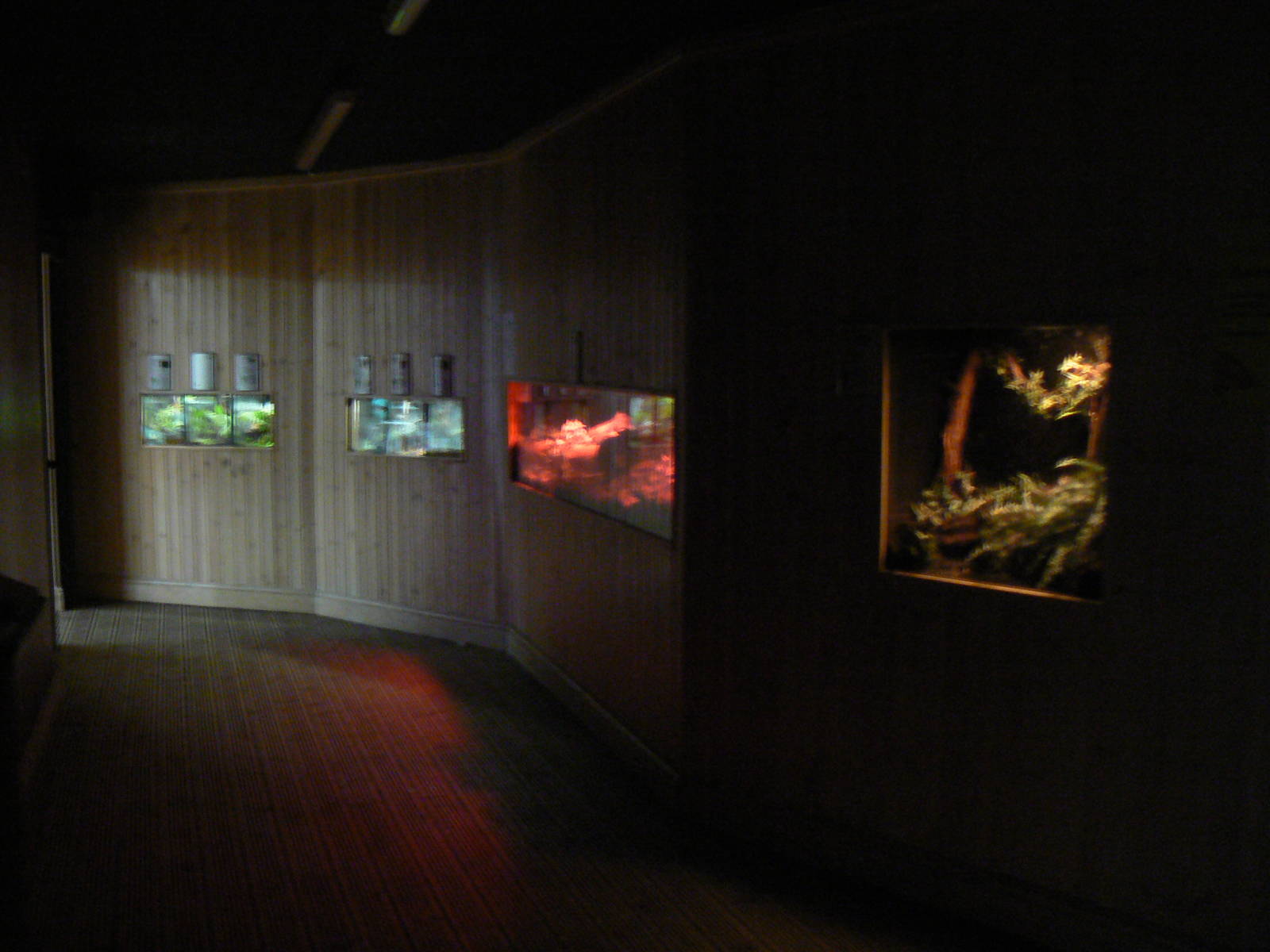 View of Various Exhibits - 1 October 2016