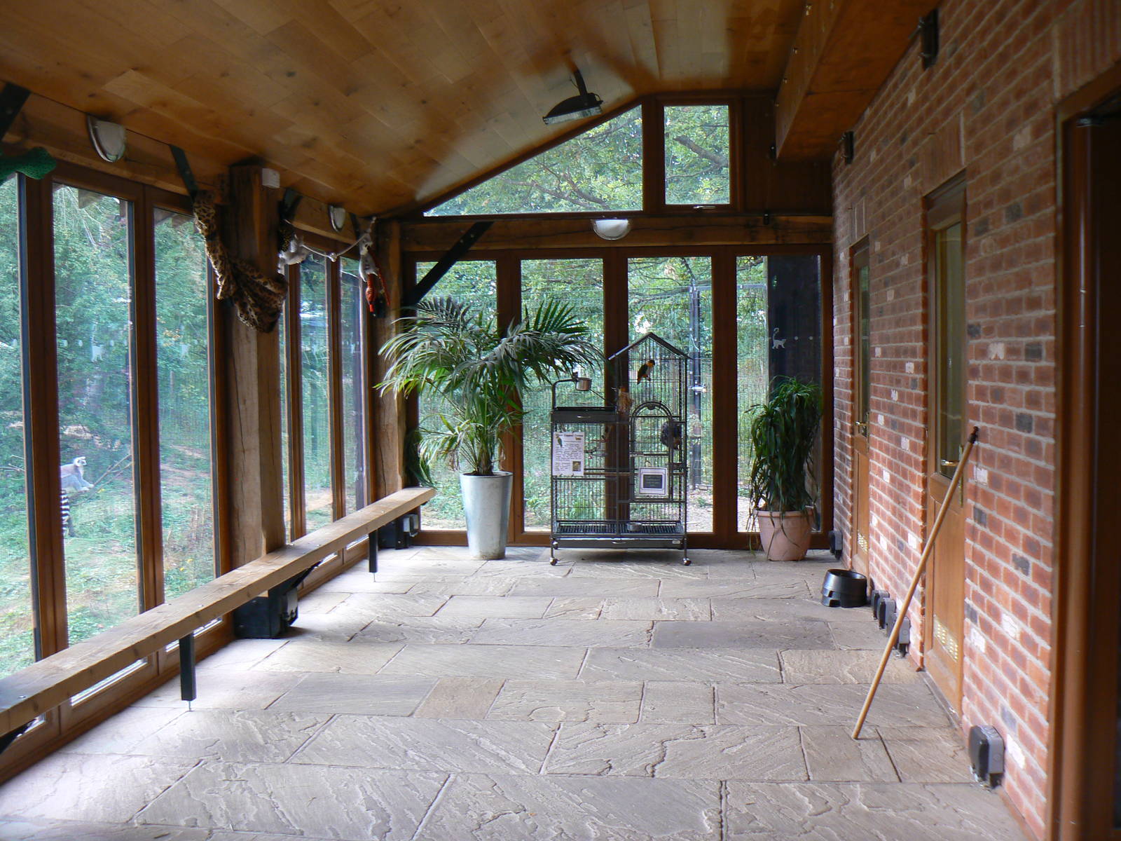 View Of Viewing Area For The Lemurs