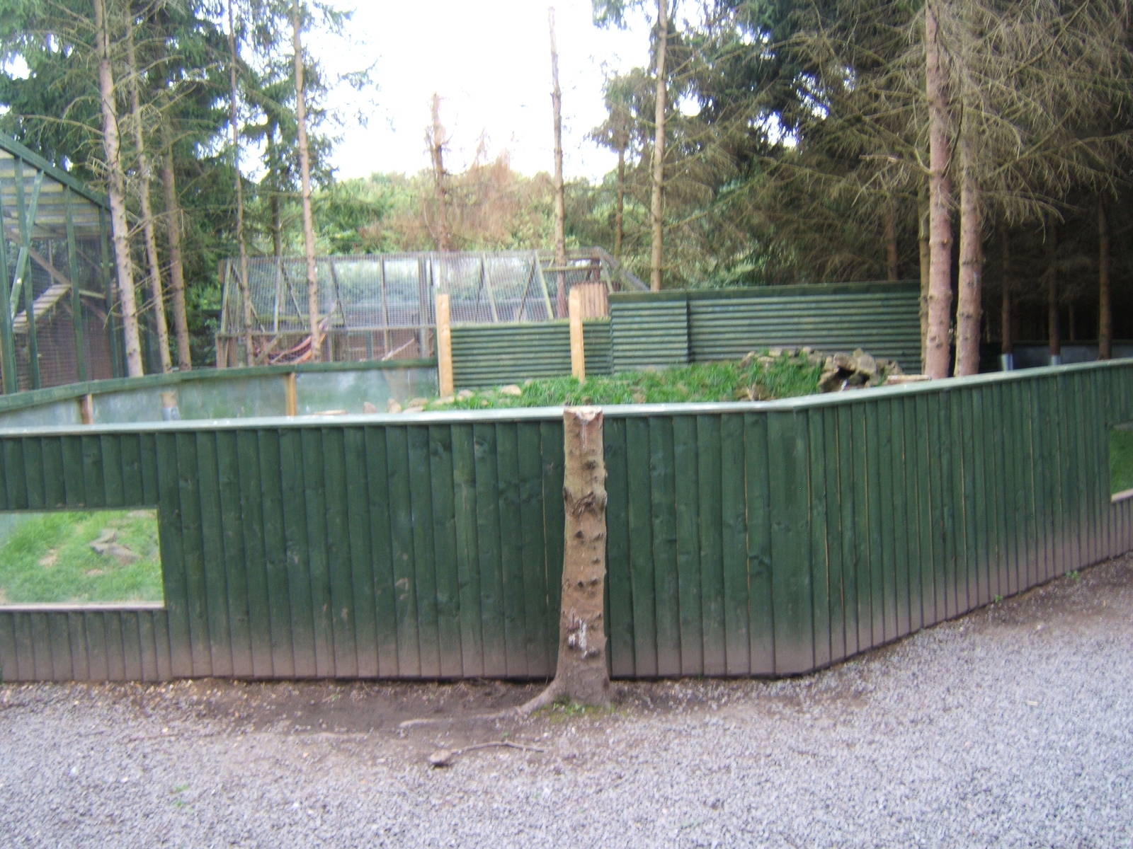 View of viewing for Asian Short-clawed Otter