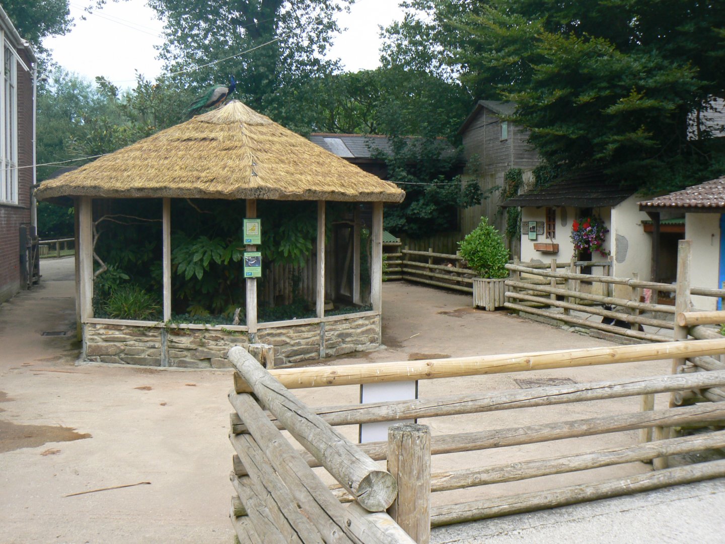 VIew of 'Village Farm' - 11 July 2018