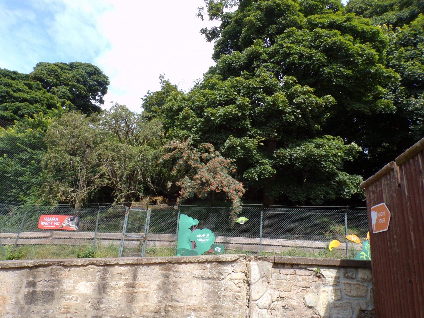 View of visayan warty pig enclosure 17.7.24