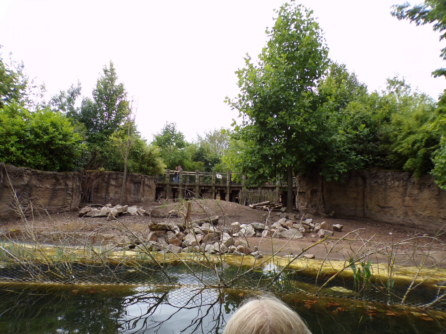 View of visayan warty pig enclosure from riverboat 29.6.24