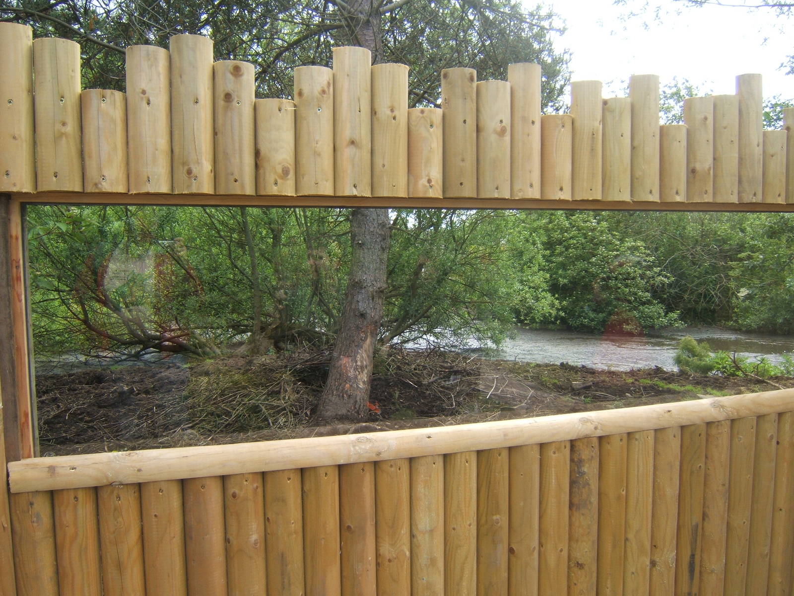 View of Visayan Warty Pig enclosure