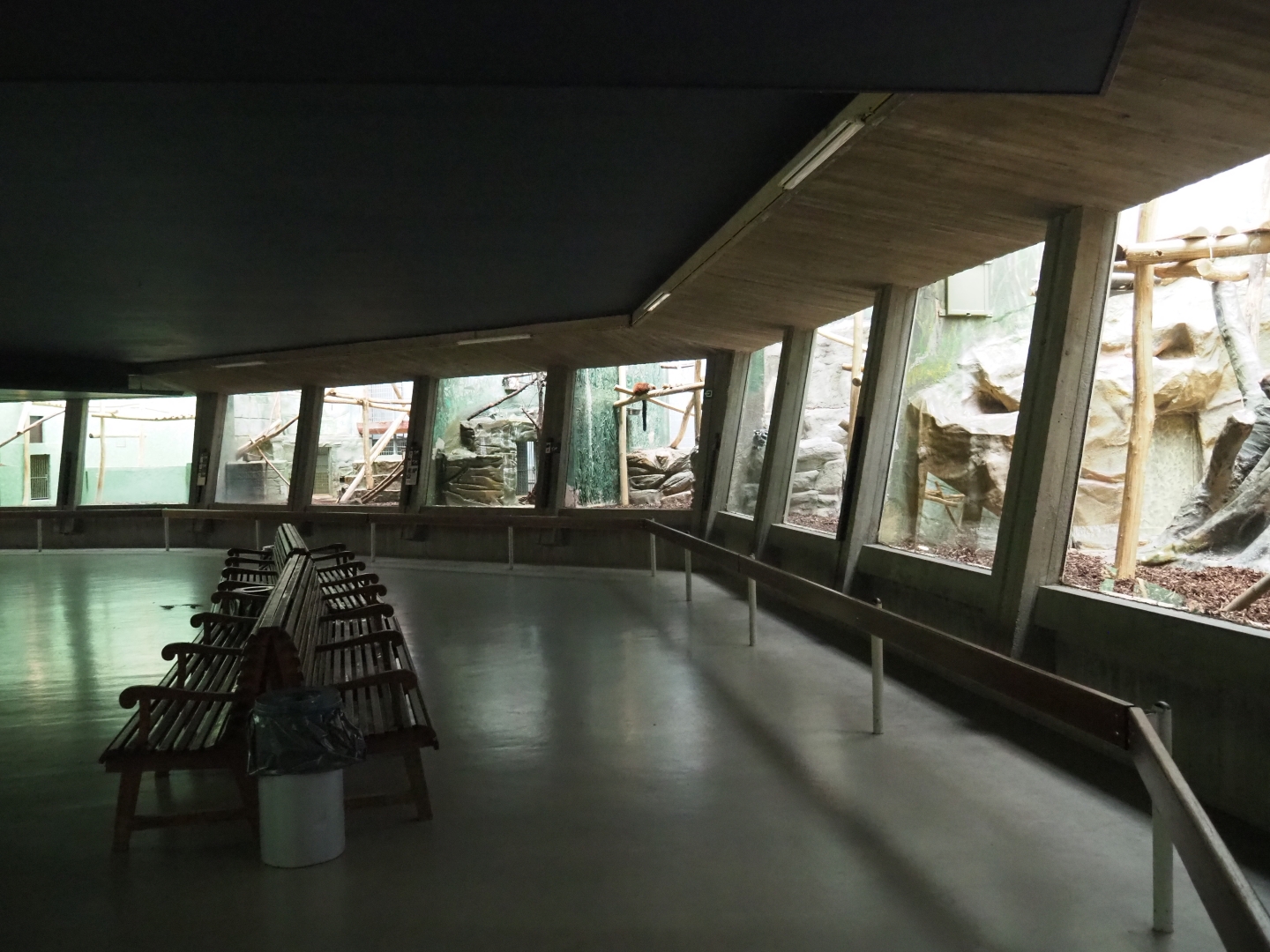 View of visitor area in the Small Monkey House