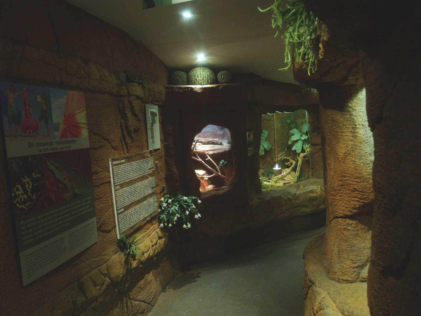 View of visitor area in the zone with arid terrariums, 2014-02-16