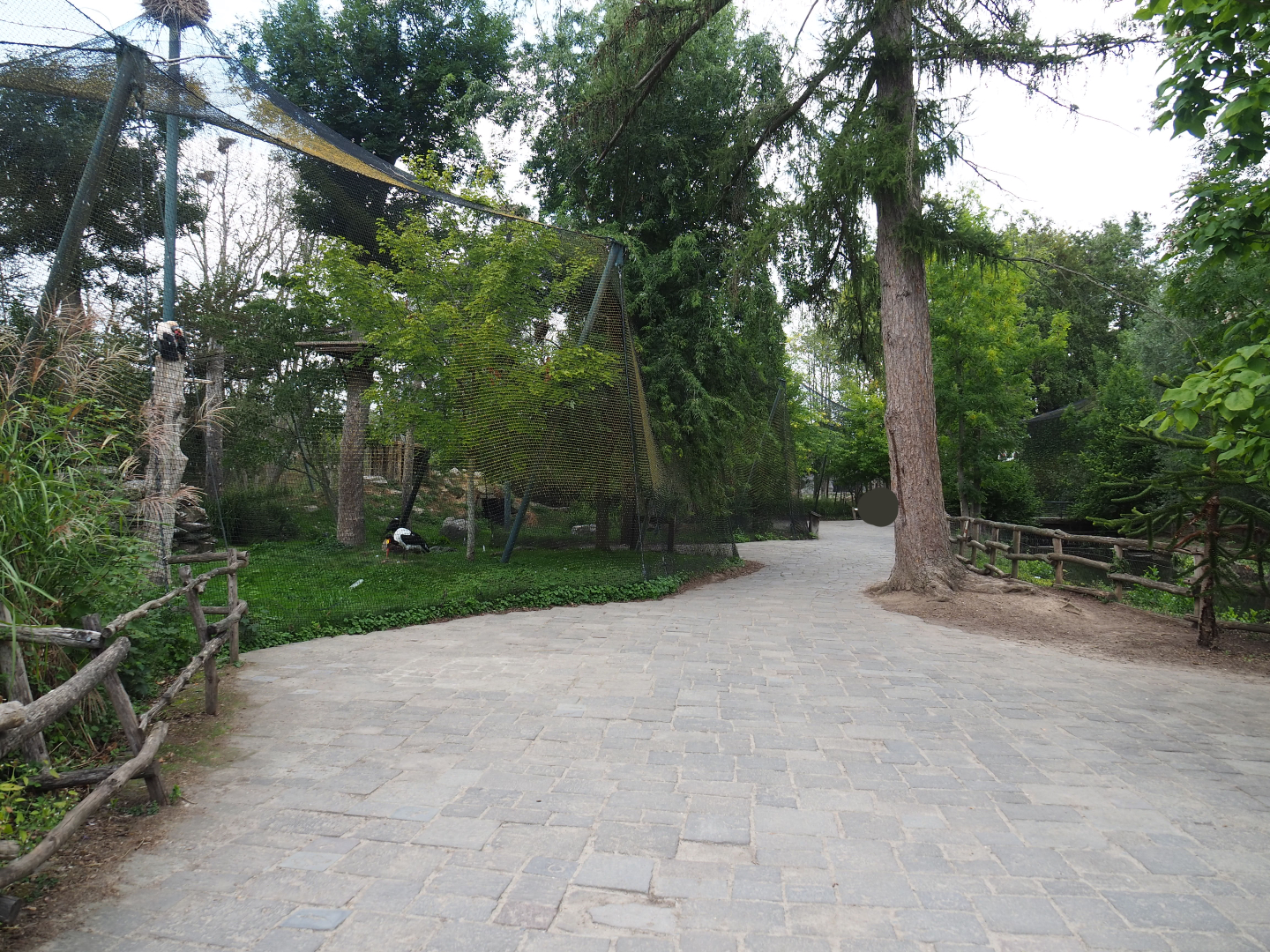 View of visitor area near raptor aviaries, 2020-09-02
