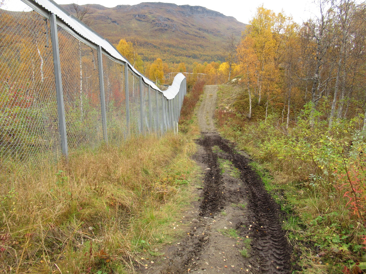 View of visitor path