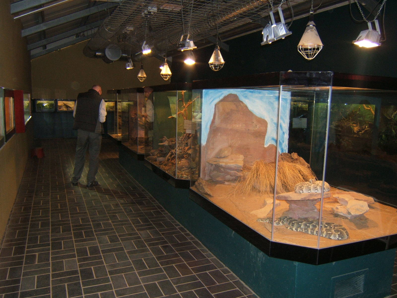 View of Vivarium