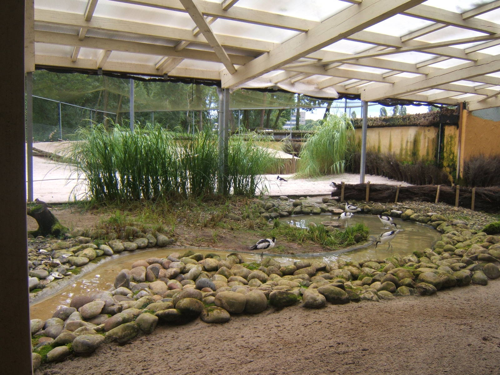 View of Wader Aviary