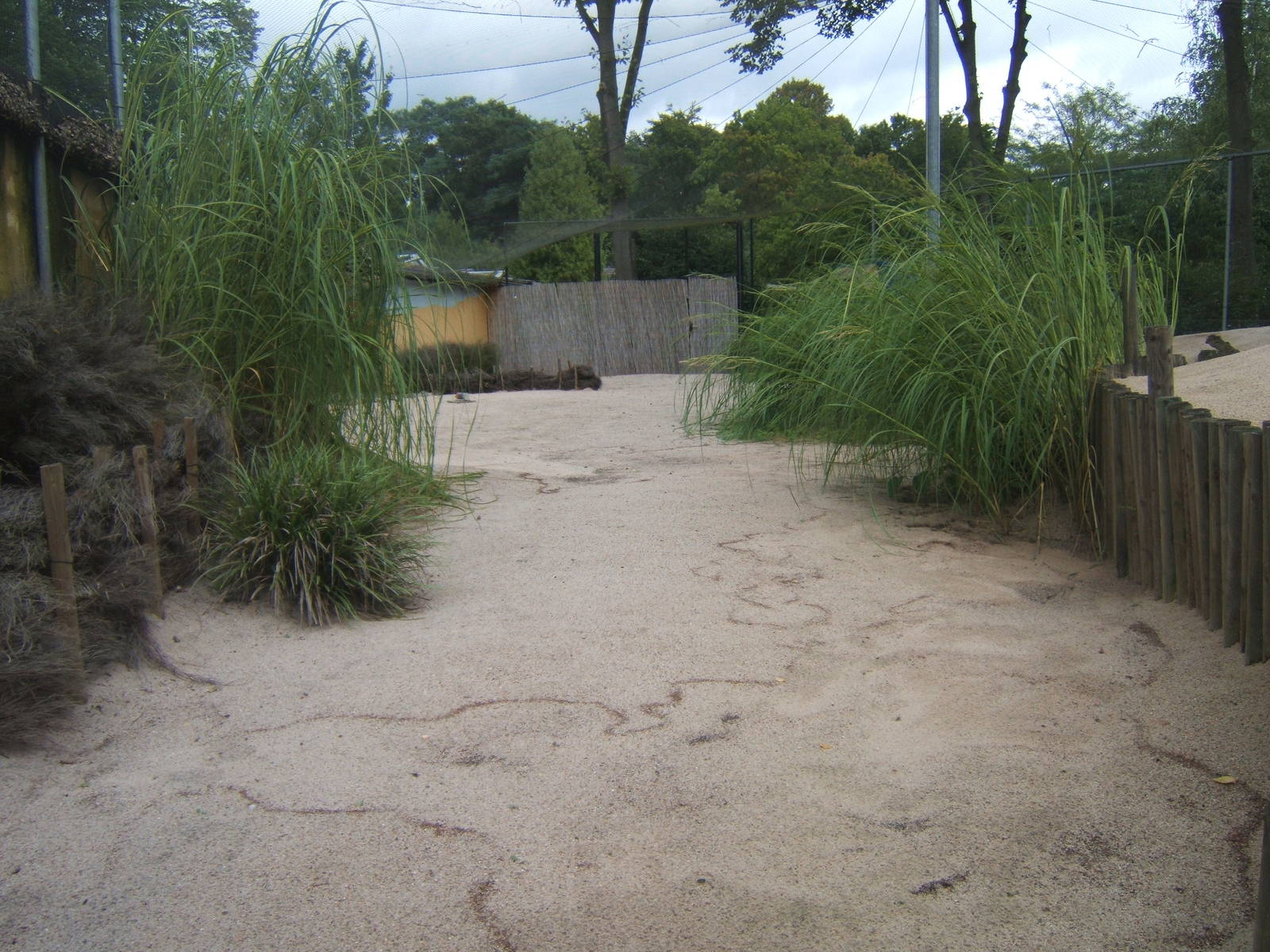 View of Wader Aviary